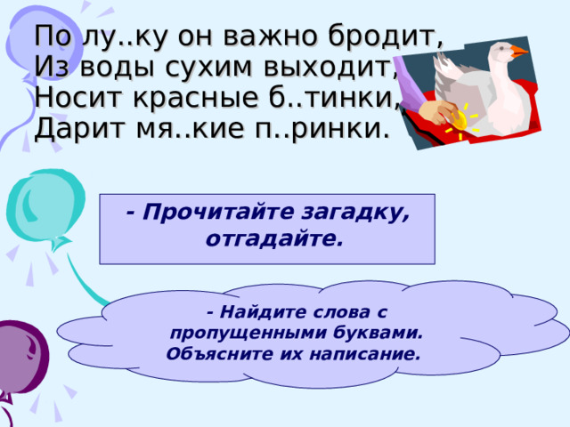 По лу..ку он важно бродит,  Из воды сухим выходит,  Носит красные б..тинки,  Дарит мя..кие п..ринки. - Прочитайте загадку, отгадайте.  - Найдите слова с пропущенными буквами. Объясните их написание.  