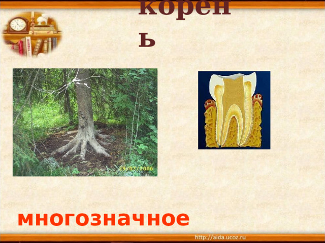корень многозначное   