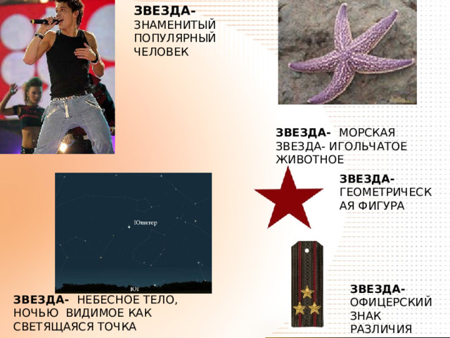 ЗВЕЗДА- ЗНАМЕНИТЫЙ ПОПУЛЯРНЫЙ ЧЕЛОВЕК ЗВЕЗДА- МОРСКАЯ ЗВЕЗДА- ИГОЛЬЧАТОЕ ЖИВОТНОЕ ЗВЕЗДА- ГЕОМЕТРИЧЕСКАЯ ФИГУРА ЗВЕЗДА- ОФИЦЕРСКИЙ ЗНАК РАЗЛИЧИЯ ЗВЕЗДА- НЕБЕСНОЕ ТЕЛО, НОЧЬЮ ВИДИМОЕ КАК СВЕТЯЩАЯСЯ ТОЧКА 