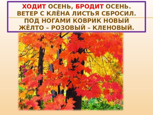Ходит осень, бродит осень.  Ветер с клёна листья сбросил.  Под ногами коврик новый  Жёлто – розовый – кленовый. 