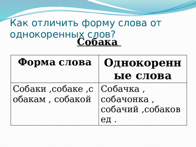 Как отличить форму слова от однокоренных слов? Собака Форма слова Однокоренные слова Собаки ,собаке ,собакам , собакой Собачка , собачонка , собачий ,собаковед . 