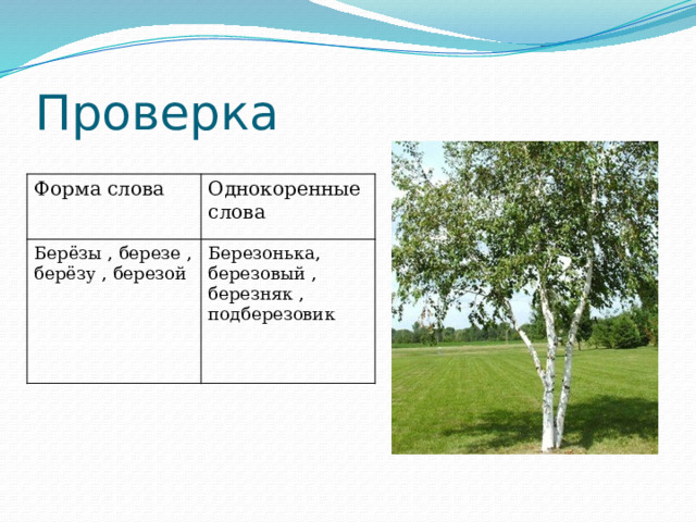 Проверка Форма слова Однокоренные слова Берёзы , березе , берёзу , березой Березонька, березовый , березняк , подберезовик 