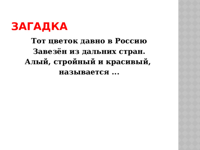 Загадка Тот цветок давно в Россию Завезён из дальних стран. Алый, стройный и красивый, называется ... 