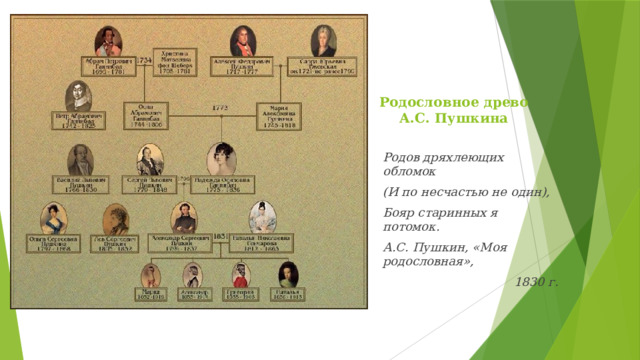 Родословное древо  А.С. Пушкина Родов дряхлеющих обломок (И по несчастью не один), Бояр старинных я потомок. А.С. Пушкин, «Моя родословная», 1830 г . 