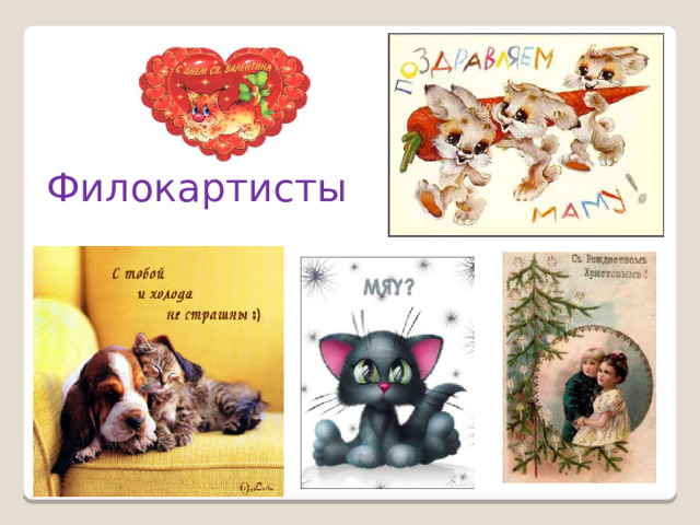Филокартисты 