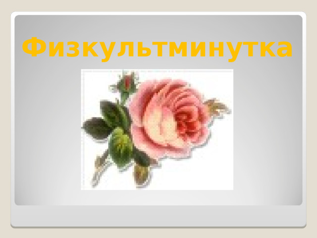 Физкультминутка 