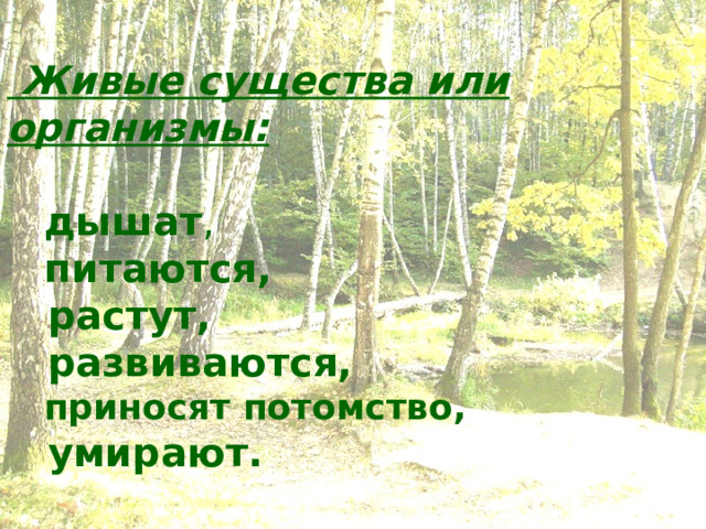  Живые существа или организмы:   дышат ,  питаются,  растут,  развиваются,  приносят потомство,  умирают.  