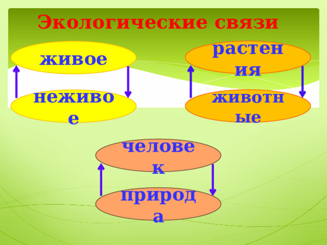 Экологические связи растения живое животные неживое человек природа 