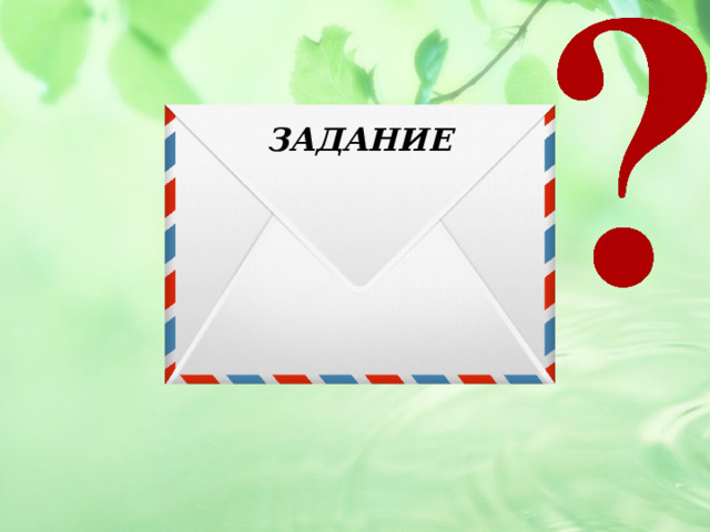 ЗАДАНИЕ 