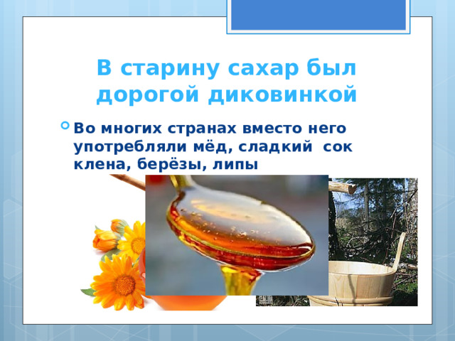 В старину сахар был дорогой диковинкой Во многих странах вместо него употребляли мёд, сладкий сок клена, берёзы, липы 