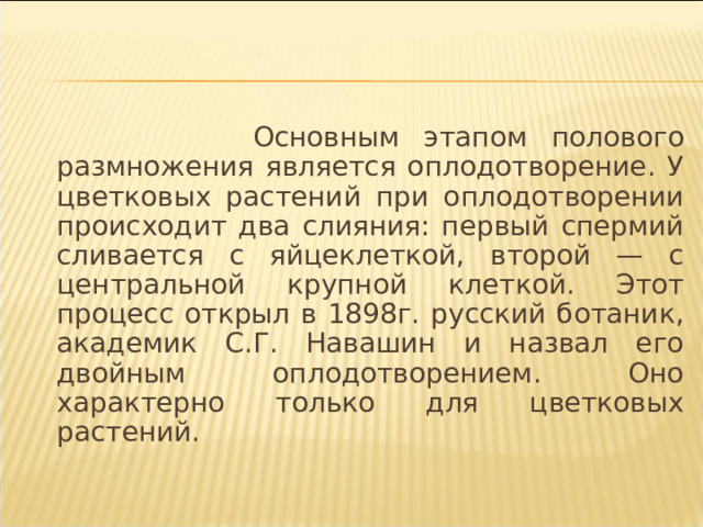  Основным этапом полового размножения является оплодотворение. У цветковых растений при оплодотворении происходит два слияния: первый спермий сливается с яйцеклеткой, второй — с центральной крупной клеткой. Этот процесс открыл в 1898г. русский ботаник, академик С.Г. Навашин и назвал его двойным оплодотворением. Оно характерно только для цветковых растений. 