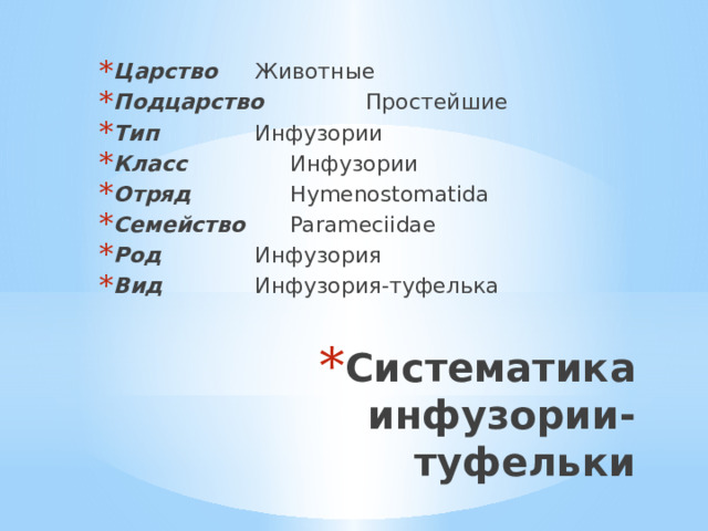Царство   Животные Подцарство   Простейшие Тип    Инфузории Класс    Инфузории Отряд    Hymenostomatida Семейство   Parameciidae Род    Инфузория Вид    Инфузория-туфелька Систематика инфузории-туфельки 