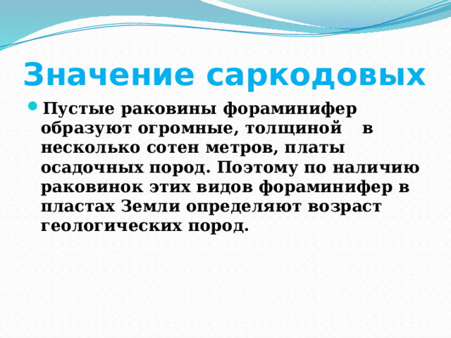 Значение саркодовых Пустые раковины фораминифер образуют огромные, толщиной  в несколько сотен метров, платы осадочных пород. Поэтому по наличию раковинок этих видов фораминифер в пластах Земли определяют возраст геологических пород. 
