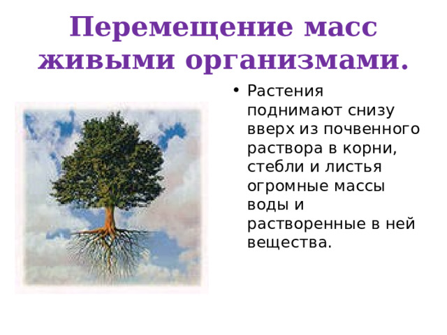 Перемещение масс живыми организмами. Растения поднимают снизу вверх из почвенного раствора в корни, стебли и листья огромные массы воды и растворенные в ней вещества. 