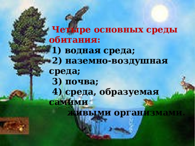   Четыре основных среды обитания:  1) водная среда;  2) наземно-воздушная среда;  3) почва;  4) среда, образуемая самими  живыми организмами. 