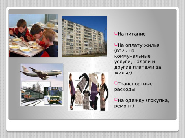 На питание На оплату жилья (вт.ч. на коммунальные услуги, налоги и другие платежи за жилье) Транспортные расходы На одежду (покупка, ремонт) 