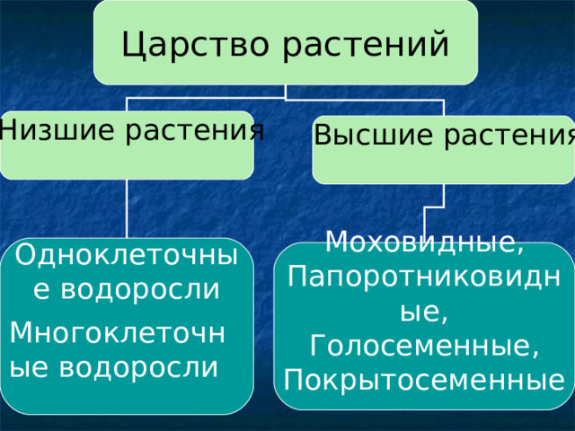 Царство растений  Низшие растения  Высшие растения Одноклеточные водоросли Многоклеточные водоросли Моховидные, Папоротниковидные , Голосеменные , Покрытосеменные 