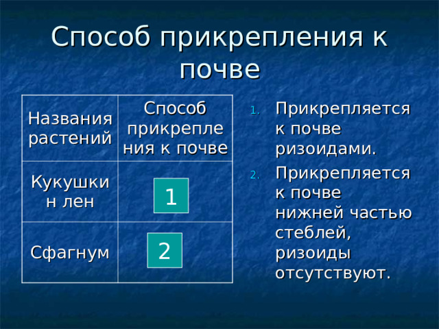 Способ прикрепления к почве Прикрепляется к почве ризоидами. Прикрепляется к почве нижней частью стеблей, ризоиды отсутствуют. Названия растений Способ прикрепления к почве Кукушкин лен Сфагнум 1 Для каждого из представителей выберите нужные характеристики и соответствующие им цифры занесите в таблицу. 2  