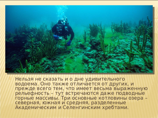 Нельзя не сказать и о дне удивительного водоема. Оно также отличается от других, и прежде всего тем, что имеет весьма выраженную рельефность – тут встречаются даже подводные горные массивы. Три основные котловины озера – северная, южная и средняя, разделенные Академическим и Селенгинским хребтами. 