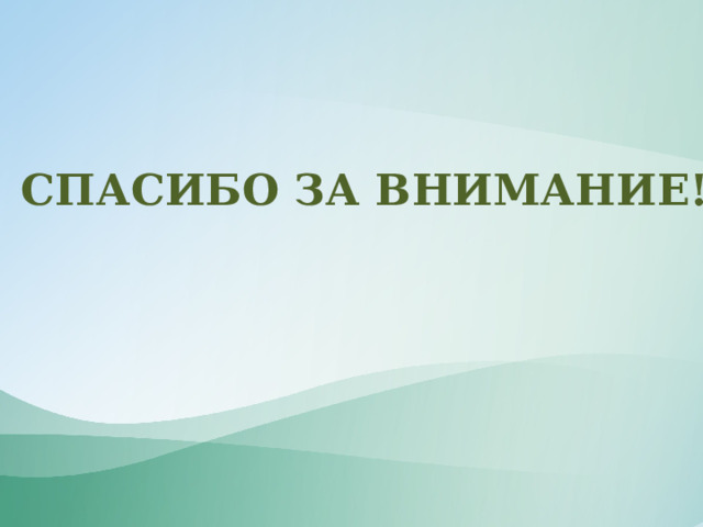 СПАСИБО ЗА ВНИМАНИЕ! 