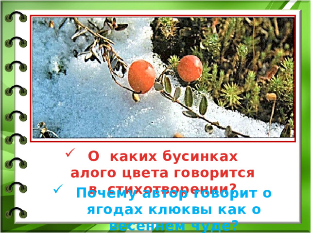 О каких бусинках алого цвета говорится в стихотворении? Почему автор говорит о ягодах клюквы как о весеннем чуде? 
