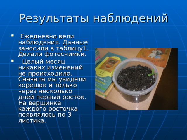 Результаты наблюдений  Ежедневно вели наблюдения. Данные заносили в таблицу1. Делали фотоснимки.  Целый месяц никаких изменений не происходило. Сначала мы увидели корешок и только через несколько дней первый росток. На вершинке каждого росточка появлялось по 3 листика. 