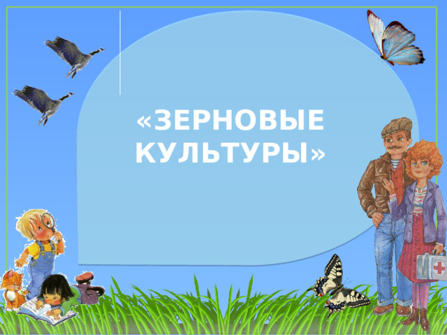  «ЗЕРНОВЫЕ КУЛЬТУРЫ»   