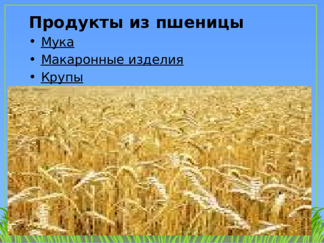 Продукты из пшеницы Мука  Макаронные изделия  Крупы  