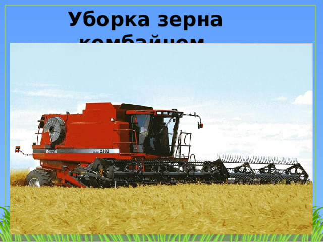 Уборка зерна комбайном. 