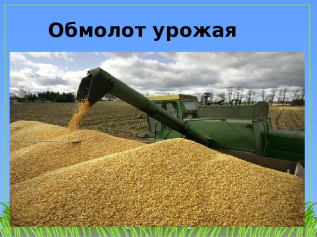 Обмолот урожая 