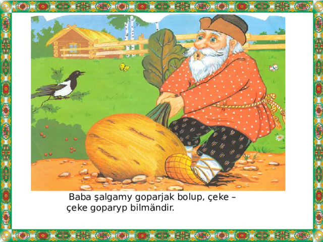 Baba şalgamy goparjak bolup, çeke – çeke goparyp bilmändir. 