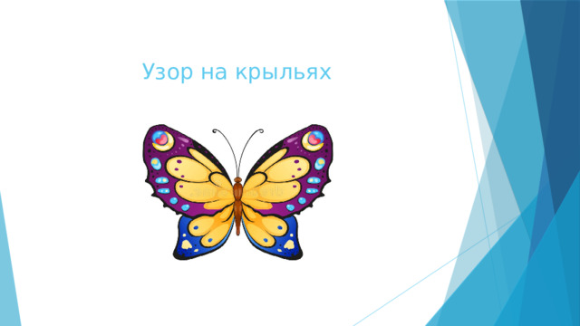  Узор на крыльях  Узор на крыльях 
