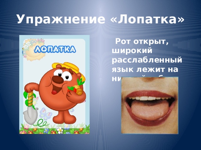 Упражнение «Лопатка»  Рот открыт, широкий расслабленный язык лежит на нижней губе 