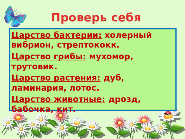 Проверь себя Царство бактерии: холерный вибрион, стрептококк. Царство грибы: мухомор, трутовик. Царство растения: дуб, ламинария, лотос. Царство животные: дрозд, бабочка, кит. 