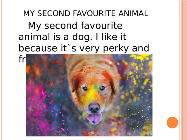 My second favourite animal   My second favourite animal is a dog. I like it because it`s very perky and friendly. 
