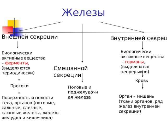 Железы Внешней секреции Внутренней секреции Биологически активные вещества - гормоны , (выделяются непрерывно) Биологически активные вещества – ферменты , (выделяются периодически) Смешанной секреции Кровь Протоки Половые и поджелудочная железа Орган – мишень (ткани органов, ряд желез внутренней секреции) Поверхность и полости тела, органов (потовые, сальные, слезные, слюнные железы, железы желудка и кишечника) 