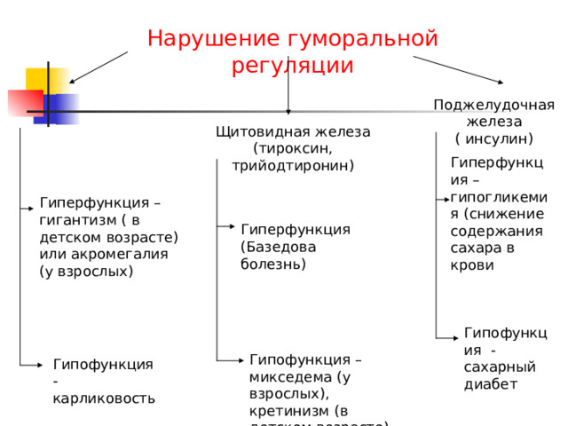 Нарушение гуморальной регуляции Поджелудочная железа ( инсулин) Щитовидная железа (тироксин, трийодтиронин) Гиперфункция – гипогликемия (снижение содержания сахара в крови Гиперфункция – гигантизм ( в детском возрасте) или акромегалия (у взрослых) Гиперфункция (Базедова болезнь) Гипофункция - сахарный диабет Гипофункция – микседема (у взрослых), кретинизм (в детском возрасте) Гипофункция - карликовость 