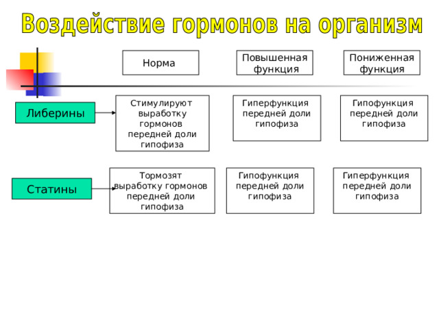 Норма Повышенная  функция Пониженная функция Стимулируют выработку гормонов передней доли гипофиза Гиперфункция передней доли гипофиза Гипофункция передней доли гипофиза Либерины Тормозят выработку гормонов передней доли гипофиза Гипофункция передней доли гипофиза Гиперфункция передней доли гипофиза Статины 