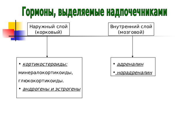 Наружный слой (корковый) Внутренний слой (мозговой)  кортикостероиды:  адреналин  норадреналин  минералокортикоиды, глюкокортикоиды.  андрогены и эстрогены  