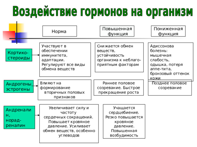 Повышенная  функция Норма Пониженная функция Адиссонова болезнь: мышечная слабость, одышка, потеря аппе-тита, бронзовый оттенок кожи Снижается обмен веществ, устойчивость организма к неблаго-приятным факторам Участвуют в обеспечении иммунитета, адаптации. Регулируют все виды обмена веществ Кортико- стероиды Влияют на формирование вторичных половых признаков Позднее половое созревание Раннее половое созревание. Быстрое прекращение роста Андрогены эстрогены Увеличивает силу и частоту сердечных сокращений. Повышает кровяное давление. Усиливает обмен веществ, особенно углеводов Учащается сердцебиение. Резко повышается кровяное давление. Повышенная возбудимость Андреналин, норад-реналин 