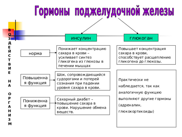 В О З Д Е Й С Т В И Е  Н А  О Р Г А Н И З М глюкоган инсулин Понижает концентрацию сахара в крови – усиливает синтез гликогена из глюкозы в печении мышцах Повышает концентрация сахара в крови, способствует расщеплению гликогена до глюкозы. норма Практически не наблюдается, так как аналогичную функцию выполняют другие гормоны (адреналин, глюкокортикоиды) Шок, сопровождающийся судорогами и потерей сознания при падении уровня сахара в крови. Повышенная функция Сахарный диабет – повышение сахара в крови. Нарушение обмена веществ. Пониженная функция 