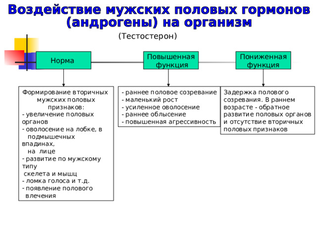 (Тестостерон) Повышенная  функция Норма Пониженная функция Формирование вторичных мужских половых признаков:  увеличение половых органов  оволосение на лобке, в  подмышечных впадинах,  на лице  развитие по мужскому типу  скелета и мышц  ломка голоса и т.д.  появление полового  влечения - раннее половое созревание - маленький рост - усиленное оволосение - раннее облысение - повышенная агрессивность Задержка полового созревания. В раннем возрасте - обратное развитие половых органов и отсутствие вторичных половых признаков 