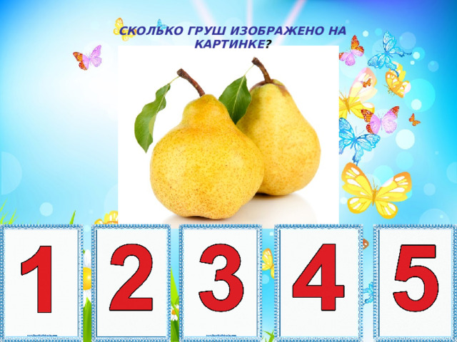 СКОЛЬКО ГРУШ ИЗОБРАЖЕНО НА КАРТИНКЕ ? 