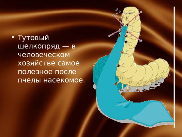 Тутовый шелкопряд — в человеческом хозяйстве самое полезное после пчелы насекомое. 