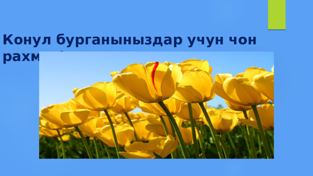 Конул бурганыныздар учун чон рахмат! 