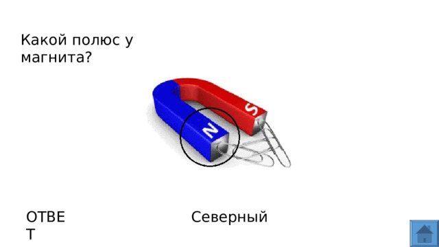 Какой полюс у магнита? ОТВЕТ Северный  
