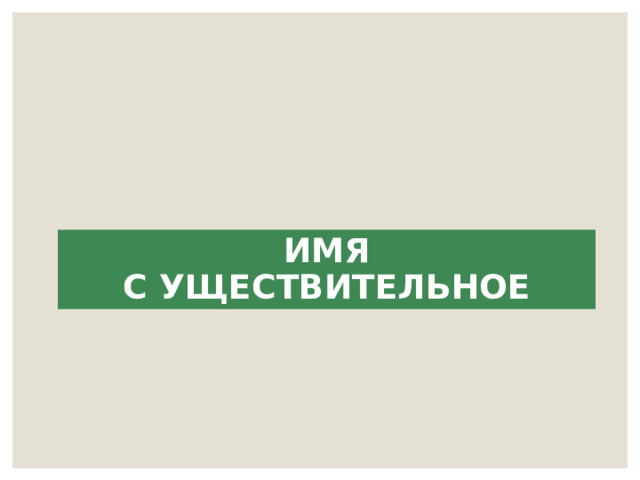 ИМЯ  С УЩЕСТВИТЕЛЬНОЕ 