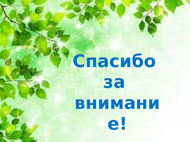 Спасибо за внимание! 