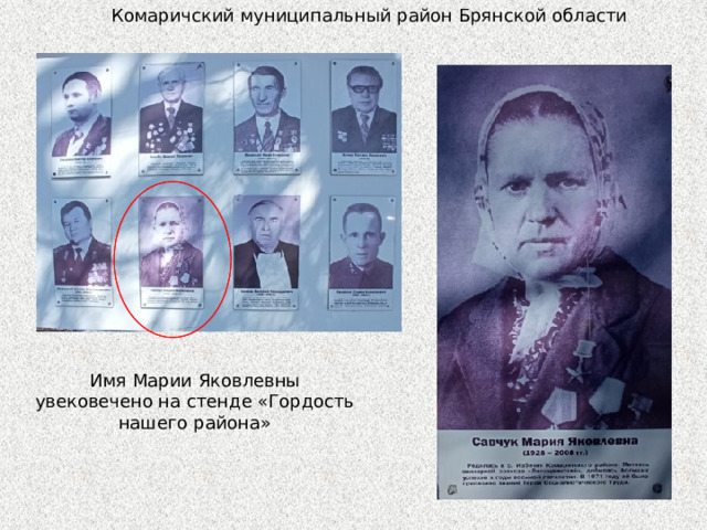 Комаричский муниципальный район Брянской области Имя Марии Яковлевны увековечено на стенде «Гордость нашего района» 