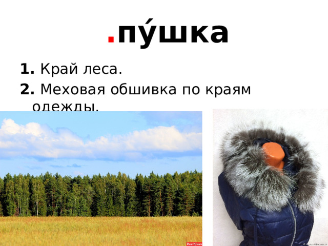  . пу́шка 1. Край леса.  2.  Меховая обшивка по краям одежды. 